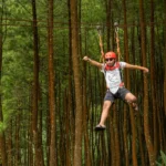 Flying Fox