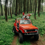 Kawi Fun Off road