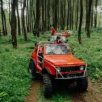 Kawi Fun Off road